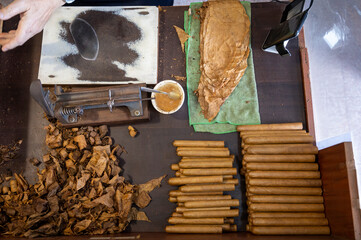 Hand made production of cigars from dried tobacco leaves, Garachico, Tenerife, Canary islands, Spain