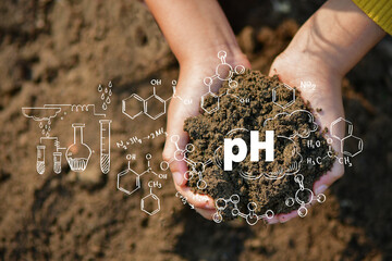 holding soil in hands close-up. Male hands touching soil on the field. check the quality of the...