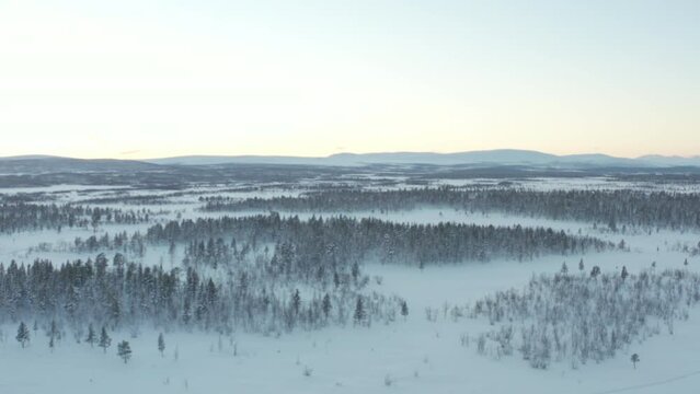 Aerial view of beautiful winter nature landscape. Forests are covered with snow at night.