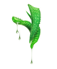 Drops of juice dripping from aloe vera stem on white background
