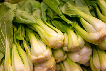 Obraz premium Chinese green cabbage pak choi on farmers market