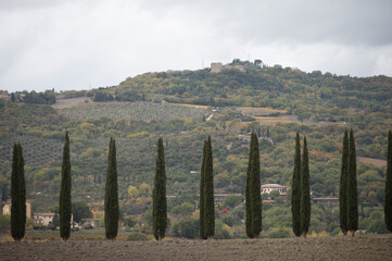 View on hills of Tuscany, Italy. Tuscan landscape with cypress trees and ploughed fields in autumn.