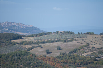 Fototapeta na wymiar Aerial view on hills near Castiglione, Tuscany, Italy. Tuscan landscape with cypress trees, vineyards, forests and ploughed fields in autumn.