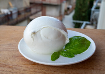 White ball of Italian soft cheese Mozzarella di Bufala Campana and fresh green basil