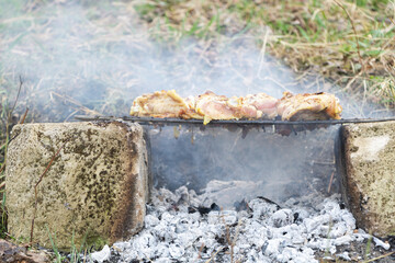 Skewers in the process of cooking in the nature