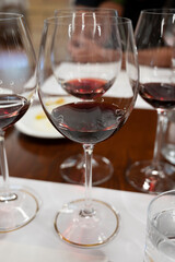 Red Brunello di Montalcino wine and olive oil tasting tour in cantina near Montalcino Tuscany, Italy