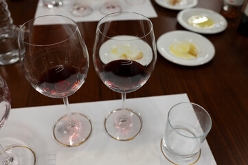 Red Brunello di Montalcino wine and olive oil tasting tour in cantina near Montalcino Tuscany, Italy