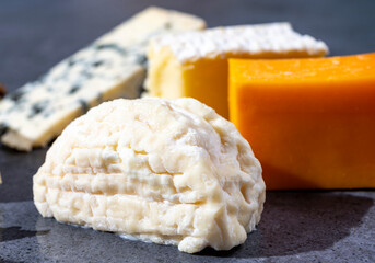 Creamy crottin goat cheese from France, french soft cheeses collection