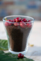 Red ripe arabica coffee berries, green coffee beands, leaves and roasted ground coffee in glass on marble table