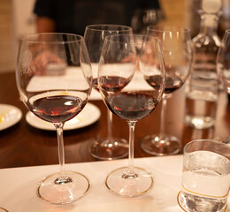 Red Brunello di Montalcino wine and olive oil tasting tour in cantina near Montalcino Tuscany, Italy