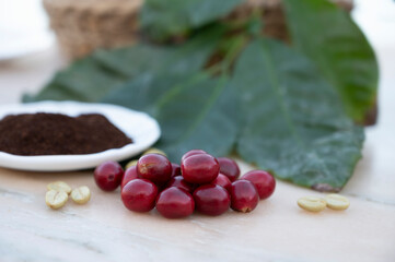 Red ripe arabica coffee berries, green coffee beands, leaves and roasted ground coffee in bowl