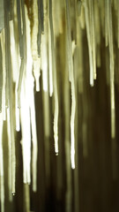 Lake Cave with suspended table in the Margaret River area of Western Australia.