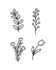 A set of field plants, meadow grass and flowers tulips poppies. Vector doodle illustration.