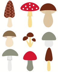 Mushroom set of vector illustrations