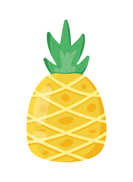 fresh pineapple fruit