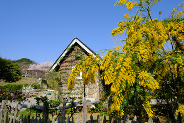 Fototapete bei efototapeten.de bestellen   