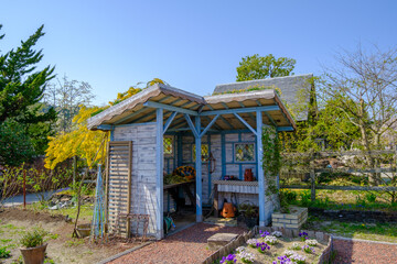 Fototapete bei efototapeten.de bestellen   