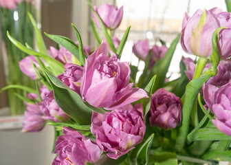 Obraz premium Tulip Bouquet, Spring Tulipa Flowers