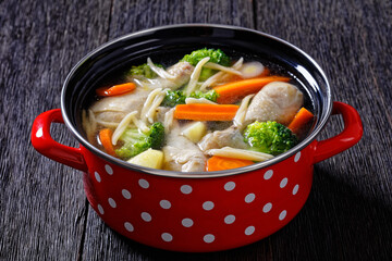 chicken vegetable soup with pasta in red pot