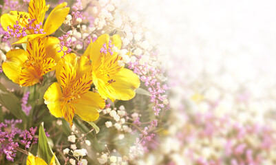 Lily flowers on sunny nature spring background. Summer scene with Lilies flower of yellow color