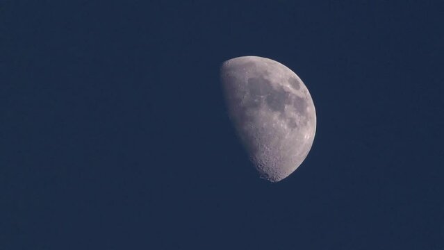 Blue moon.  Half moon against a blue sky, right of frame.