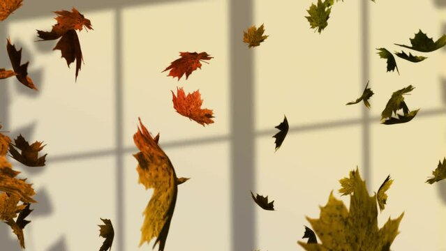 Animation of fall leaves floating over window shadow on yellow background