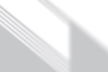 Window Sunlight Shadow Overlay Effect