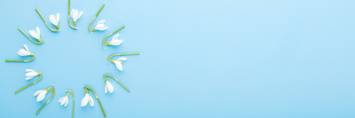 Flower circle created from white fresh beautiful snowdrops on light blue table background. Pastel color. First messengers of spring. Closeup. Top down view. Wide banner. Empty place for text.