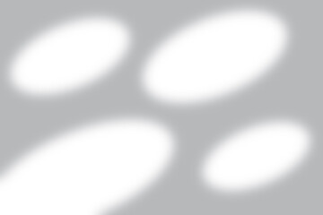 Window Sunlight Shadow Overlay Effect