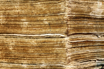 Detail of pages of an old book