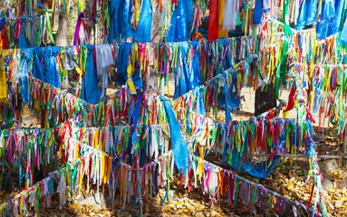 Naklejka premium Buddhist multi-colored prayer ribbons, tourist colored tapes and Buryat blue scarves hodaks near mineral spring in the Arshan sanatorium, Tunka valley, Buryatia. The concept of medical tourism