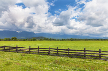 Fototapeta na wymiar Beautiful summer landscape of foothill valley with green agricultural field of oats behind wooden fence on sunny day. Natural rural background. Eastern Sayan Mountains, Buryatia, Tunka valley, Arshan