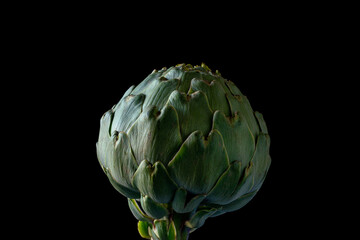 Fototapeta premium not perfect or ugly Fresh globe artichoke isolated on dark background no waste ,zero waste ,