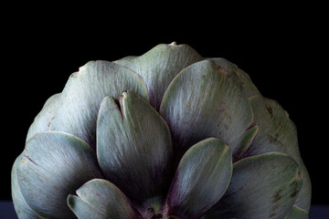 close up of not perfect or ugly Fresh globe artichoke isolated on dark background no waste ,zero...