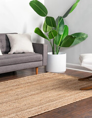 Modern contemporary living room area rug design. Interior room rug sofa chair carpet wall design.
