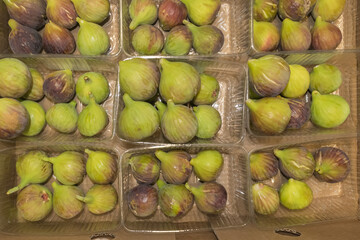 Figs packed and ready for the market.
