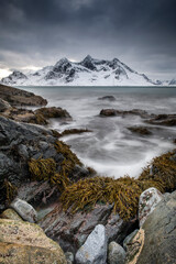 Beautiful cold winter Norway landscape