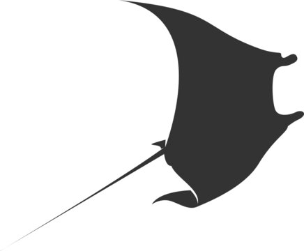recommend clip art: Manta Ray Silhouette. Isolated Vector Animal Template for Logo Company, Icon, Symbol etc 