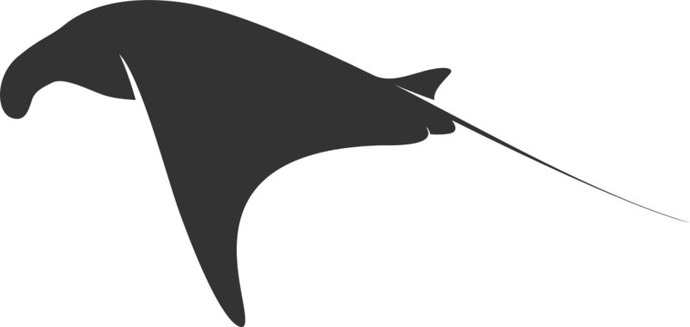 recommend clip art: Manta Ray Silhouette. Isolated Vector Animal Template for Logo Company, Icon, Symbol etc 