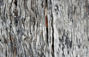 old grunge wood texture