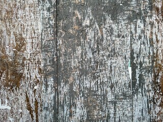 Obraz premium old wood texture