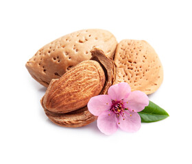Almonds with flowers