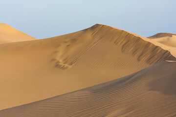 Fototapeta na wymiar Golden dune at Maspalomas, Grand Canary