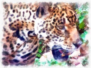 Leopard in various gestures watercolor style illustration impressionist painting.