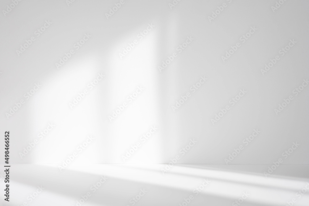 Leinwandbilder Abstract white studio background for product presentation. Empty room with shadows of window. Display product with blurred backdrop.