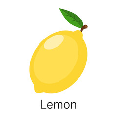 Lemon isolated on white background. Vector illustration in flat style