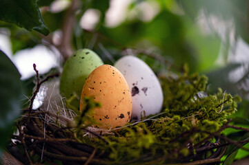 Fototapeta na wymiar bird nest with colored Easter eggs on branches of green trees, easter decoration, selective focus