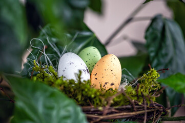bird  nest with colored Easter eggs on branches of green trees, easter decoration, selective focus