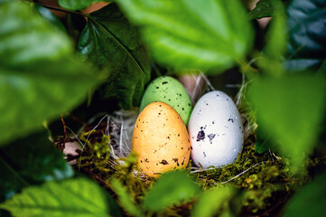 bird  nest with colored Easter eggs on branches of green trees, easter decoration, selective focus