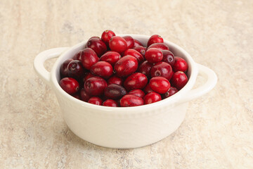 Ripe sweet tasty cranberry in the bowl